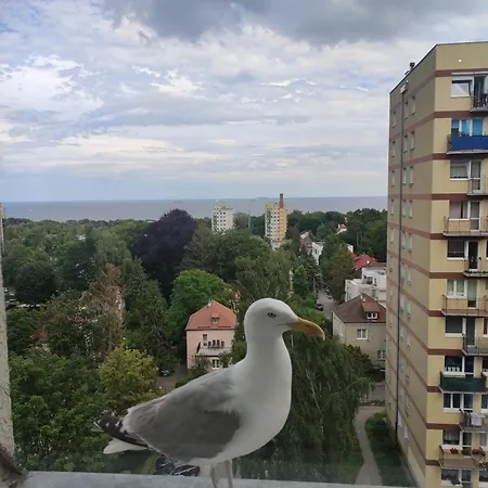 Apartament Widokowo *